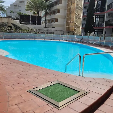 Daire Ocean Front Cozy 2 Bedroom, 3 Beds Spacious- Netflix, Pool, Lift & Fast Wifi